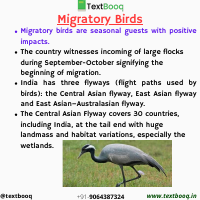 Migratory Birds.pdf